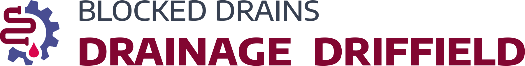 website logo